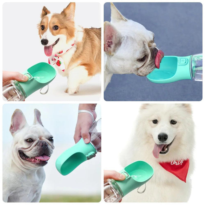 Garrafa Portátil com Dispenser de Água para Pets